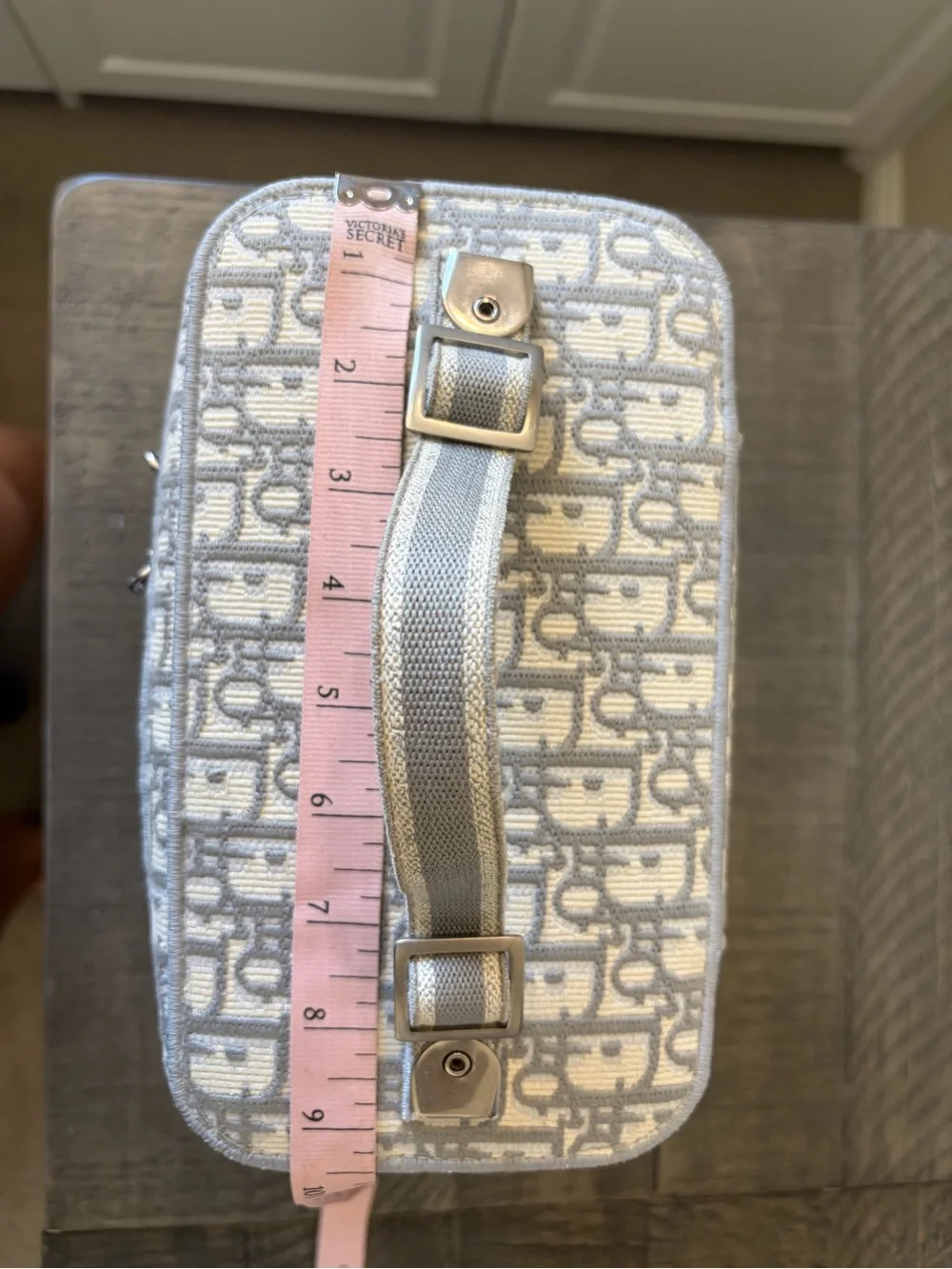 Dior Light Gray Dior Oblique Vanity Case - Picture 14 of 16